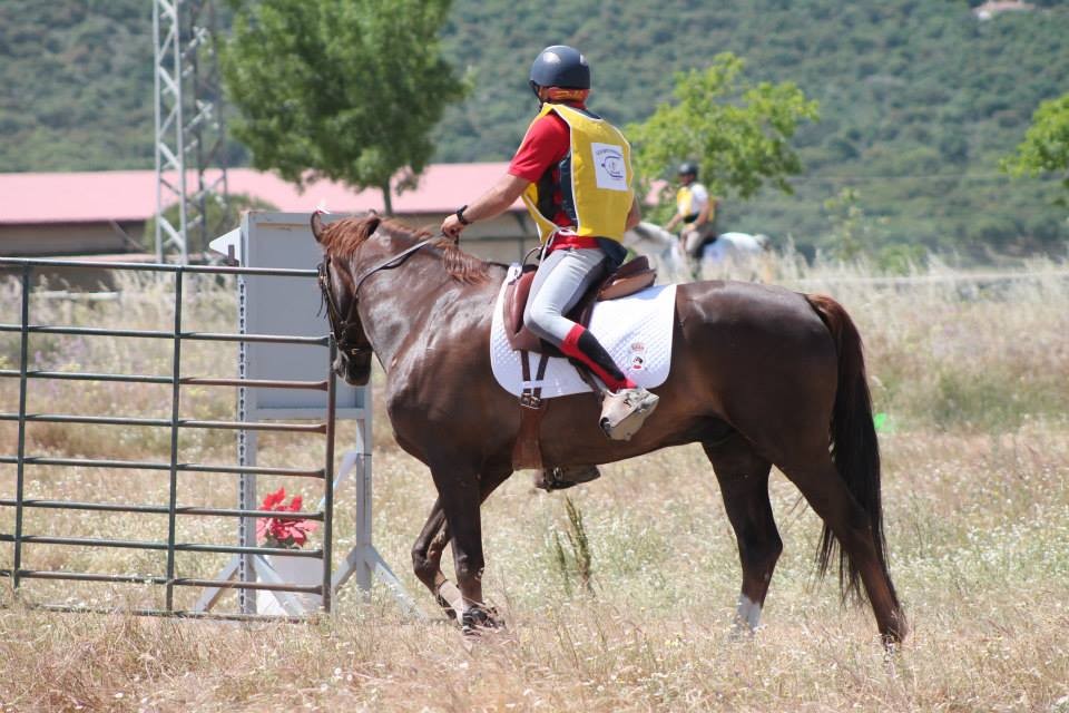 Trec**, Trec*, Promoci&oacute;n, Menores*, Menores 0* Territorial y Campeonato Navarro 2018